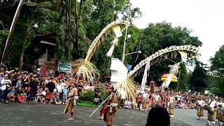 The sacred Tradition in Kesiman # ngerebong is staged in the festival denpasar activities