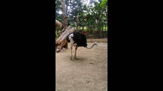 Mxtube.org :: MEXZOO Mp4 3GP Video & Mp3 Download unlimited Videos ...
