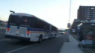 Westchester County Bee-Line Neoplan AN460 572 on the 21