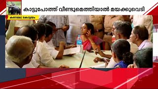 കാട്ടുപോത്തിനെ എന്ത് ചെയ്യും? വെടിവെച്ചു കൊല്ലാനുള്ള ഉത്തരവ് നടപ്പാക്കില്ല | Buffalo Attack