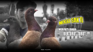 LOMBA MERPATI KOLONG LAPKOL FAMILY WONODADI GADING REJO