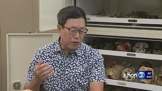 UH Manoa professor unearths a new species of human