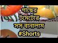 গাছের টমেটোর সস বানালাম খেতে অনেক টেষ্ট | #Shorts Mayer Dunia