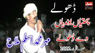 New Dholay Programme HD/ Aslam Malah New Punjabi India Dholay Latest 2022 Must Join Sial Studio