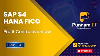 Profit Center overview SAP S4 HANA FICO CLASS 14