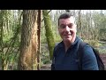 200 sheffield round walk 2023 part 2 of 2 porter valley limb valley and ecclesall woods