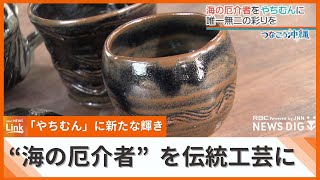 “海の厄介者”が伝統工芸を輝かせる　処分に苦労していたものを「やちむん」に活用【SDGsつなごう沖縄】