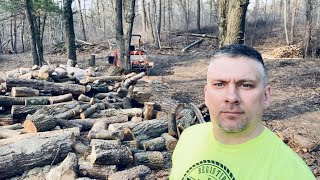 Free Firewood - Tree Service Score - Let's Start Bucking!