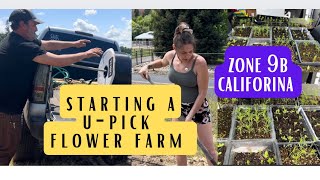 Starting a u-pick flower farm: UPDATE #zone9b #flowerfarm #cutflowers #upick