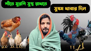 শীতে মুরগি সুস্থ রাখতে কি খাবার দিবেন