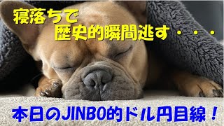 寝落ちで、歴史的瞬間逃す・・・チ～ン　投資TUBE・投資顧問アイリンクインベストメント・FX