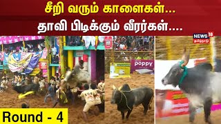 Palamedu Jallikattu Round 4 | சீறி வரும் காளைகள் - தாவி பிடிக்கும் வீரர்கள் | Jallikattu 2025