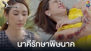 นาคีรักษาพิษนาค | HIGHLIGHT มณีนาคา EP16 | ช่อง8