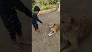 ईशान्वी ची चपाती शेवटी भूभू ने खाल्ली की नाही बघा मित्रांनो 😄❤ #shorts #ytshorts #doggie #dog #dogs