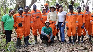 OECS Forestry Management Training Initiative - Documentary