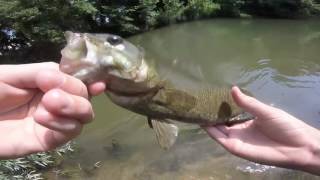 Gasconade river summer smallmouth fishing(part 1)