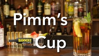 Pimm's Cup selber mixen - Schüttelschule by Banneke