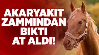 Akaryakıt Zammından Bıktı At Aldı! | Krt Haber