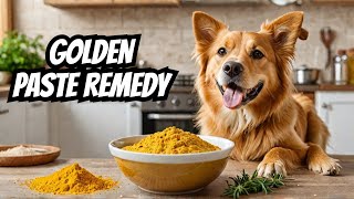 HEAL Your Dog Naturally With This Golden Paste Recipe!