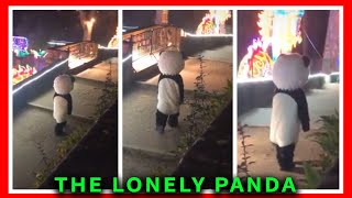Someone Hug That Lonely Panda 😢 Tik Tok Daily Memes, NEW Best Funny TIKTOK videos, 2020