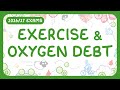 GCSE Biology - Exercise & Oxygen Debt (2026/27 exams)