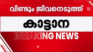 മലപ്പുറത്ത് കാട്ടാനയാക്രമണത്തില്‍ ഒരു സ്ത്രീ കൊല്ലപ്പെട്ടു  | Wild Elephant Attack