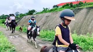 【墾丁悠客馬場】自己的馬兒自己騎，野地大探索