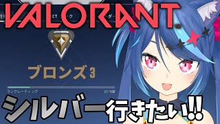 【VALORANT】永遠にブロンズの初心者ヴぁろ【Vtuber蒼乃火らみ】