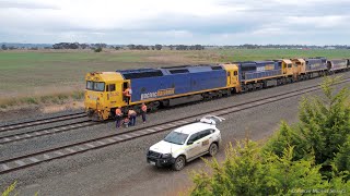 7734V Pacific National Grain Train Crew Change At Gheringhap (29/8/2023) - PoathTV Railways