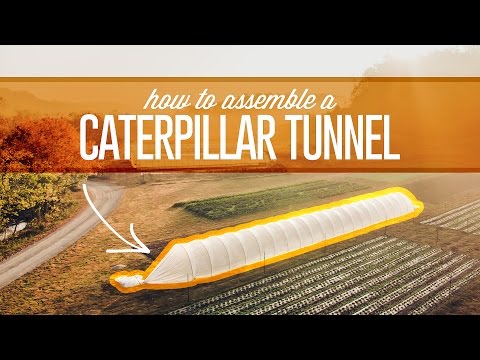 Caterpillar Tunnel Assembly Video Caterpillar Tunnel Assembly Video