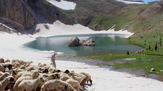 Dersim-Pülümür-Gola Buyer'e