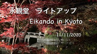 永観堂ライトアップ　Eikando in Kyoto