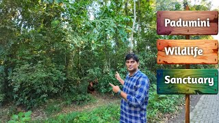 3 घने जंगलों से घिरा Padumini Wildlife Sanctuary