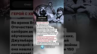 Незадолго до Парада Победы Джульбарс  получил ранение и не мог пройти вместе с другими собаками.