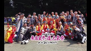 原宿表参道元氣祭スーパーよさこい 帯屋町筋 2017（桜舞ポーランド）/ Obisuji 2017 at Harajuku Super Yosakoi (with Sakuramai Poland)