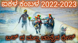 ಐಕಳ ಕಂಬಳ 2022-2023 ಬಲ್ ದ ಮಲ್ಲ ಚಾನ್ಸೆದ ರೇಸ್ ikala kambala ballda malla chance reace 2022-23