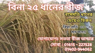 বিনা ২৫ ধানের বীজ || নতুন উচ্চ ফলনশীল বিনা ধান ২৫ ( বাসমতির বিকল্প)