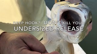 Don't Remove Deep Set Hooks! Save the Fish.