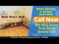 reliable expert water damage repair service review fairfax virginia