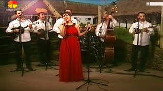 Cecilija & TS Garavi ~ DJEVOJKA JE ZELEN BOR SADILA