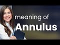 Annulus — ANNULUS meaning