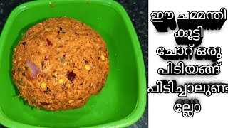 ഇതുപോലൊരു ചമ്മന്തി മാത്രം മതി ചോറുണ്ണാൻ # short videol  coconut chutney recipe l rinus tasty world