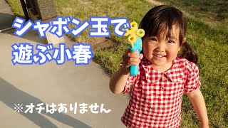 【3歳】シャボン玉で遊ぶ小春【生後8ヶ月】