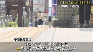 静岡県内11日も猛暑日予想　今年初の熱中症警戒アラート発表　炎天下での外出はできる限り控えるよう呼びかけ