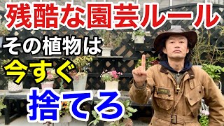 【捨てれない方へ】植物の上手な減らし方教えます　【カーメン君】【園芸】【ガーデニング】【初心者】