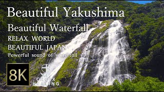 【Beautiful Yakushima / 8K Beautiful Waterfall】Powerful sound of waterfall