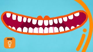 Some fun and freaky facts about teeth | BBC Ideas