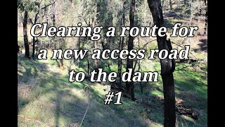 Building an Access Road on a hill to the Dam #1 - Clearing Trees