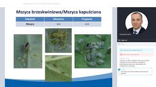 Wiosenna ochrona insektycydowa rzepaku - szkolenie online