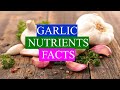 GARLIC ---  Herb  -   Health Benefits and Nutrients Facts